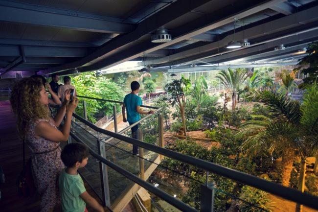 Todosierranevada Zona Baja - Edificio Alhambra - Junto A Los Telecabinas Σιέρρα Νεβάδα Εξωτερικό φωτογραφία